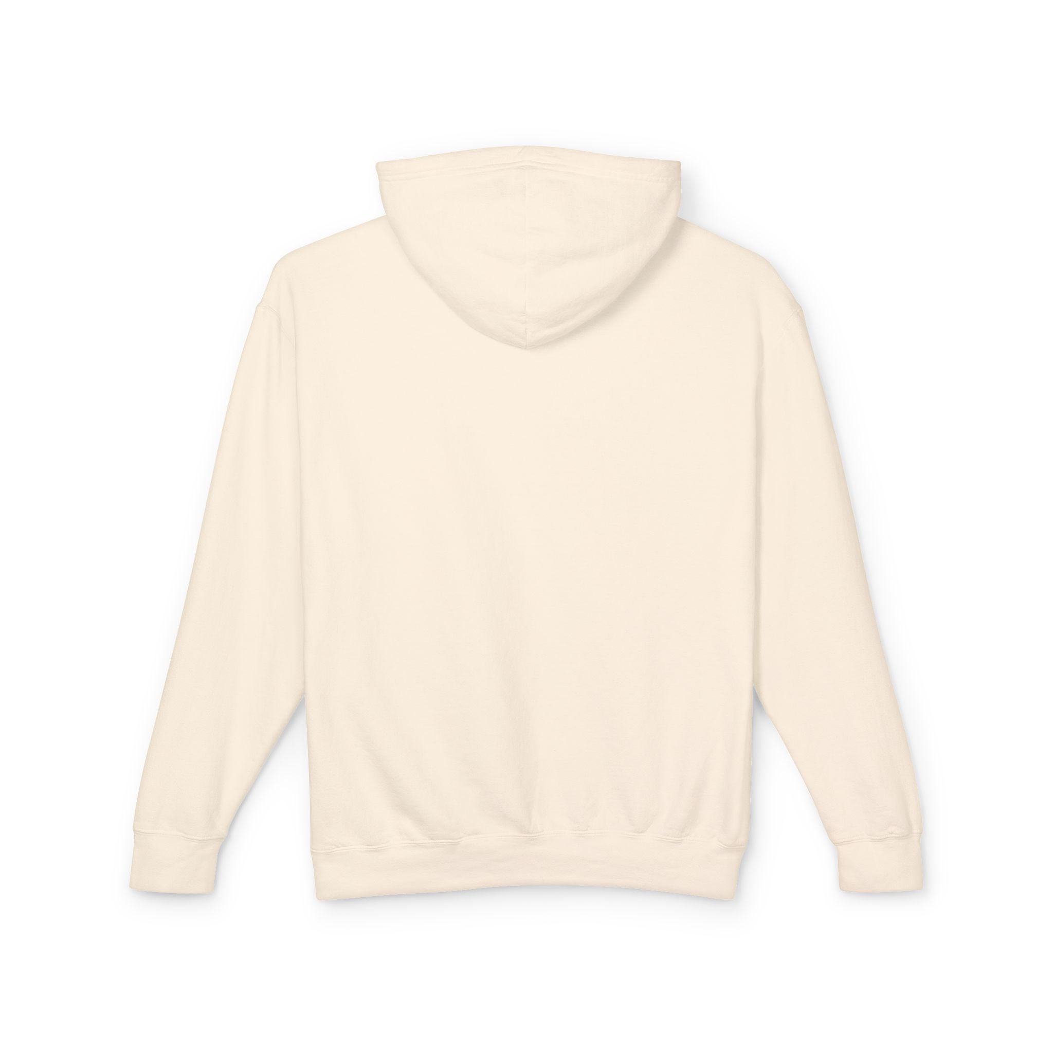 Pegasus Track & Field Unisex Lightweight Hoodie - Go the Distance