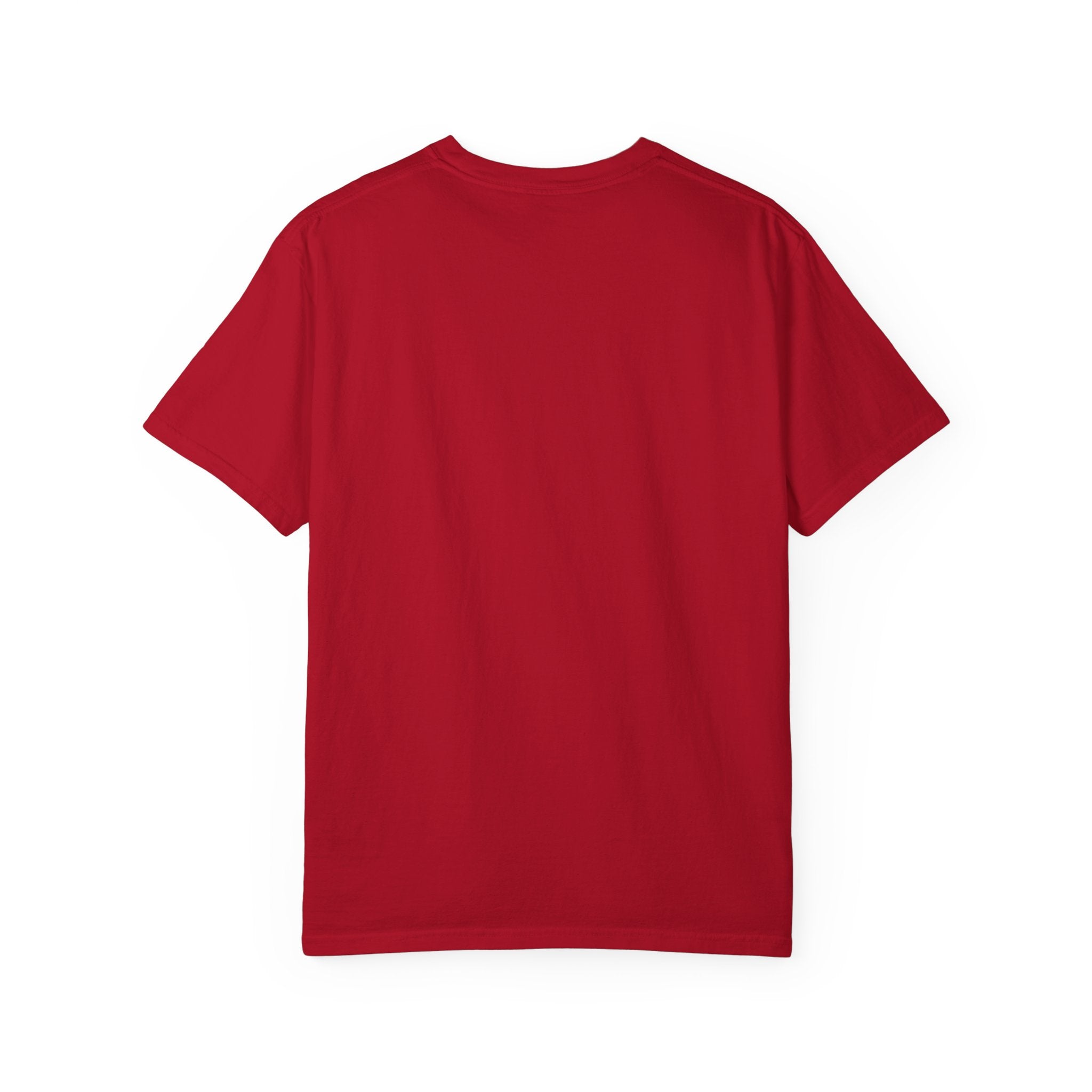 There's a Great Big Beautiful Tomorrow T-Shirt | Music Lover Gift | unisex Graphic Tee | Festival Fashion | Halloween Costume