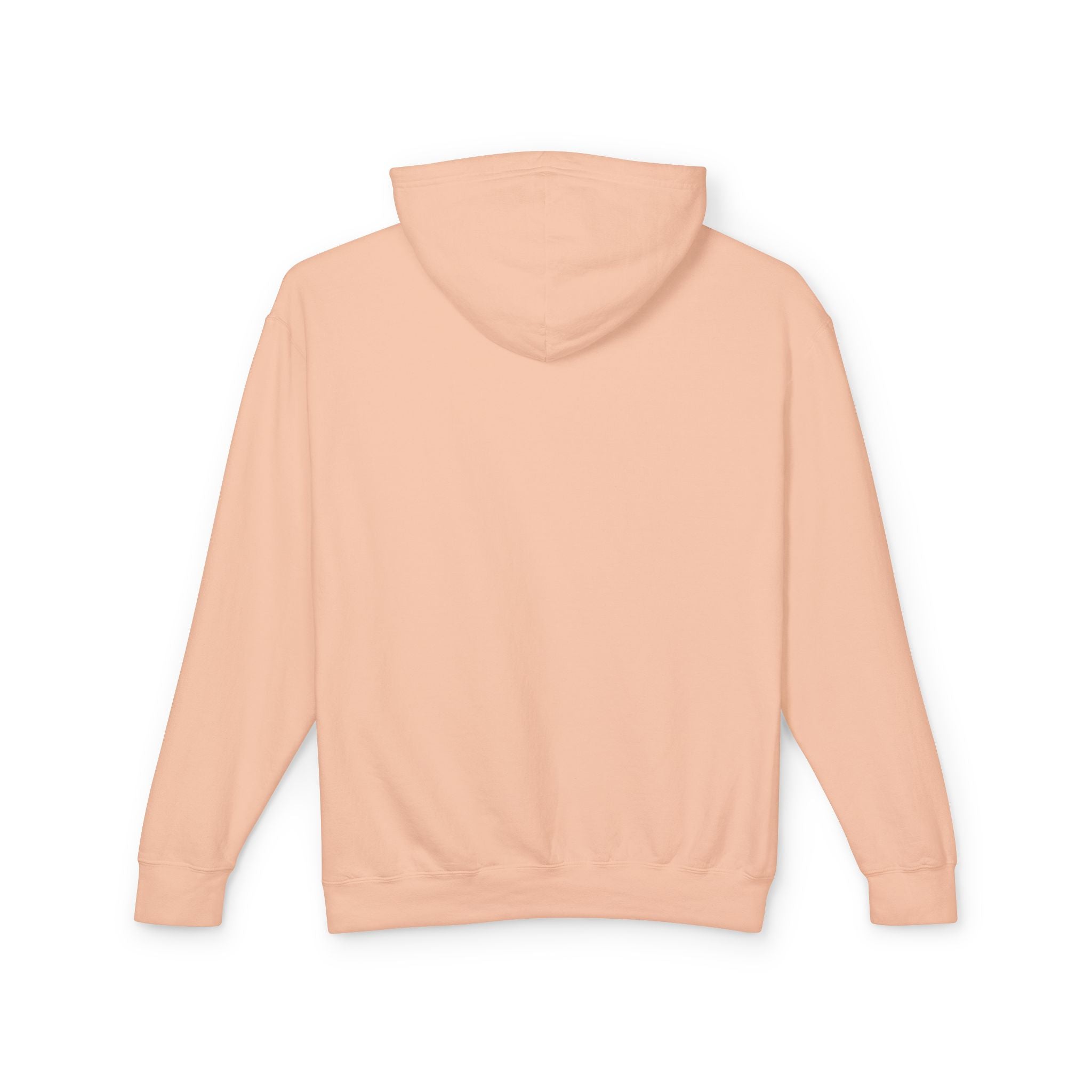 Pegasus Track & Field Unisex Lightweight Hoodie - Go the Distance